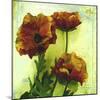 Poppies II-Herb Dickinson-Mounted Photographic Print