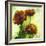 Poppies II-Herb Dickinson-Framed Photographic Print