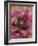 Poppies II-li bo-Framed Giclee Print