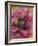 Poppies II-li bo-Framed Giclee Print