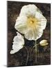 Poppies II-John Seba-Mounted Art Print