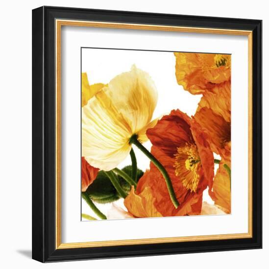 Poppies III-Richard Weinstein-Framed Art Print