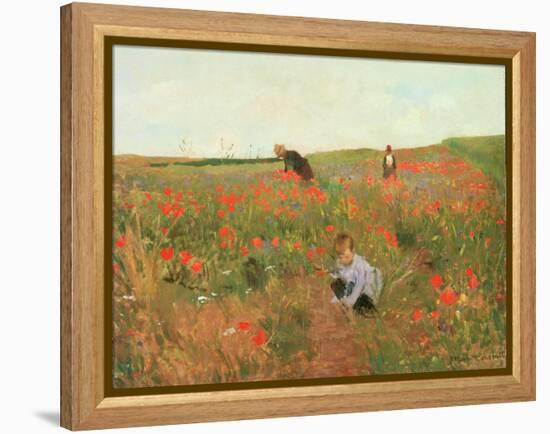 Poppies in a Field, C.1880 (Oil on Panel)-Victor Gabriel Gilbert-Framed Premier Image Canvas
