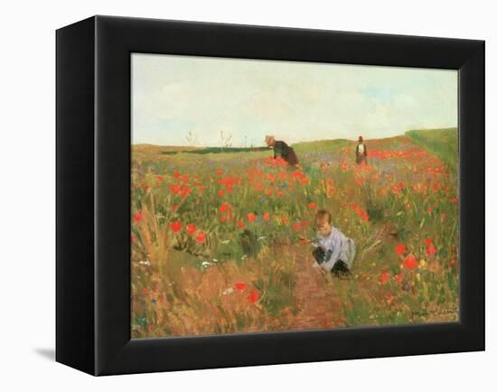 Poppies in a Field, C.1880 (Oil on Panel)-Victor Gabriel Gilbert-Framed Premier Image Canvas