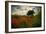 Poppies in a Wild Field-Mark Gemmell-Framed Photographic Print