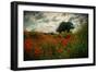Poppies in a Wild Field-Mark Gemmell-Framed Photographic Print