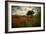 Poppies in a Wild Field-Mark Gemmell-Framed Photographic Print