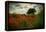 Poppies in a Wild Field-Mark Gemmell-Framed Premier Image Canvas