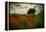 Poppies in a Wild Field-Mark Gemmell-Framed Premier Image Canvas