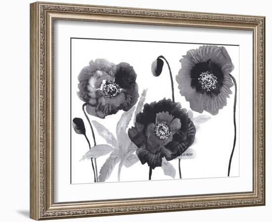 Poppies in Black and white-Neela Pushparaj-Framed Giclee Print