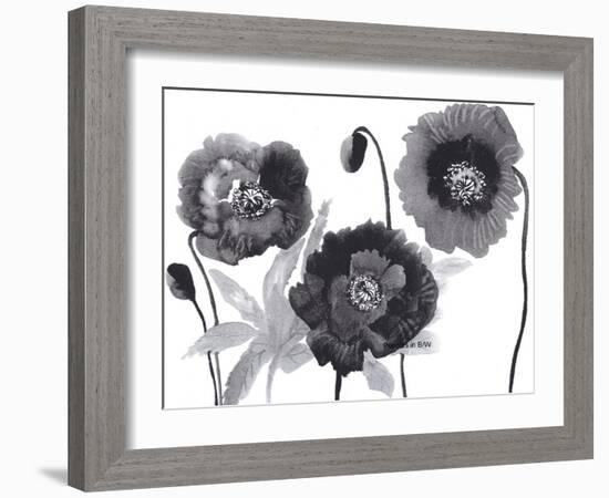 Poppies in Black and white-Neela Pushparaj-Framed Giclee Print