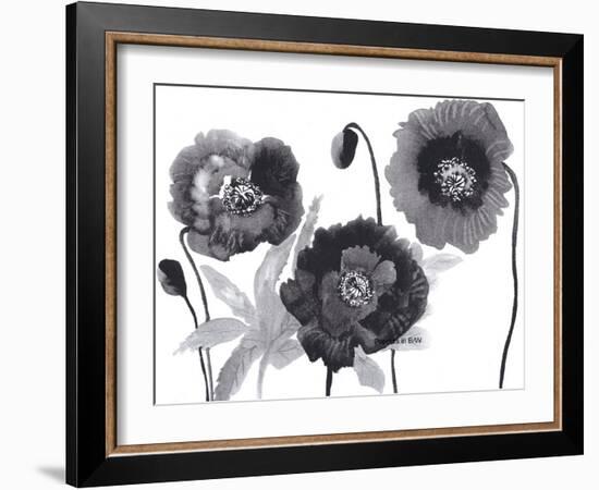 Poppies in Black and white-Neela Pushparaj-Framed Giclee Print