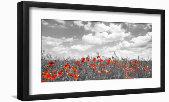 Poppies in corn field, Bavaria, Germany-Frank Krahmer-Framed Giclee Print