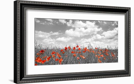 Poppies in corn field, Bavaria, Germany-Frank Krahmer-Framed Giclee Print