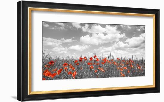 Poppies in corn field, Bavaria, Germany-Frank Krahmer-Framed Giclee Print