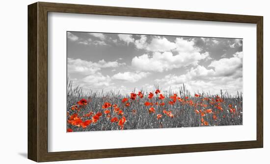 Poppies in corn field, Bavaria, Germany-Frank Krahmer-Framed Giclee Print