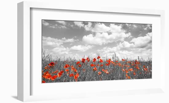 Poppies in corn field, Bavaria, Germany-Frank Krahmer-Framed Giclee Print