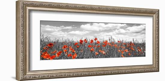 Poppies in corn field, Bavaria, Germany-Frank Krahmer-Framed Giclee Print