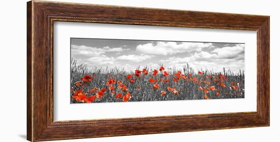 Poppies in corn field, Bavaria, Germany-Frank Krahmer-Framed Giclee Print