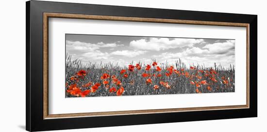 Poppies in corn field, Bavaria, Germany-Frank Krahmer-Framed Giclee Print