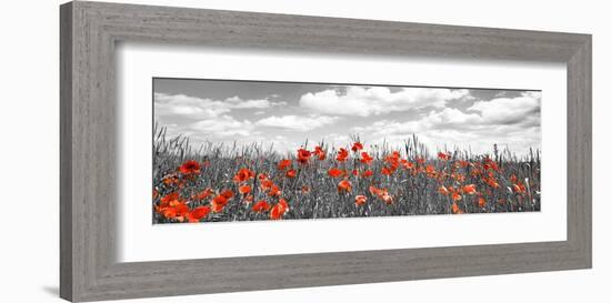 Poppies in corn field, Bavaria, Germany-Frank Krahmer-Framed Giclee Print