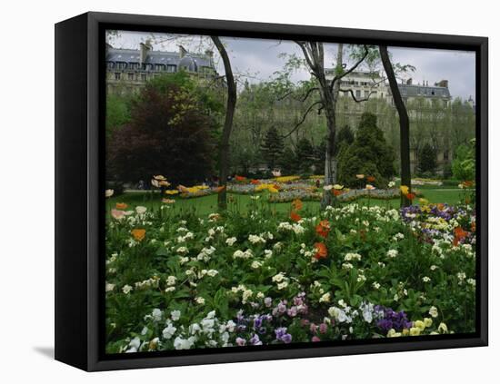Poppies in Parc De Monceau, Paris, France, Europe-Nigel Francis-Framed Premier Image Canvas
