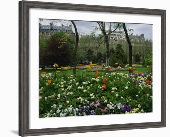 Poppies in Parc De Monceau, Paris, France, Europe-Nigel Francis-Framed Photographic Print