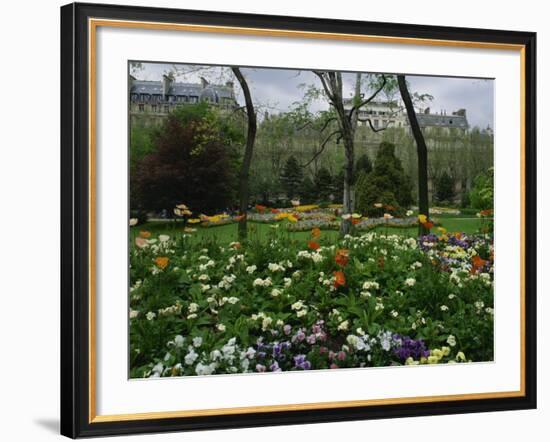 Poppies in Parc De Monceau, Paris, France, Europe-Nigel Francis-Framed Photographic Print