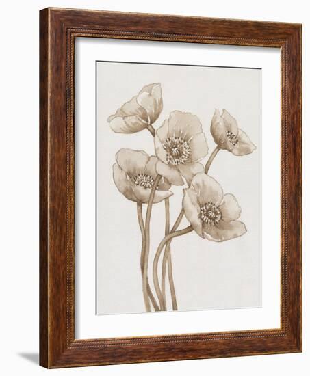Poppies in Sepia II-Tim OToole-Framed Art Print