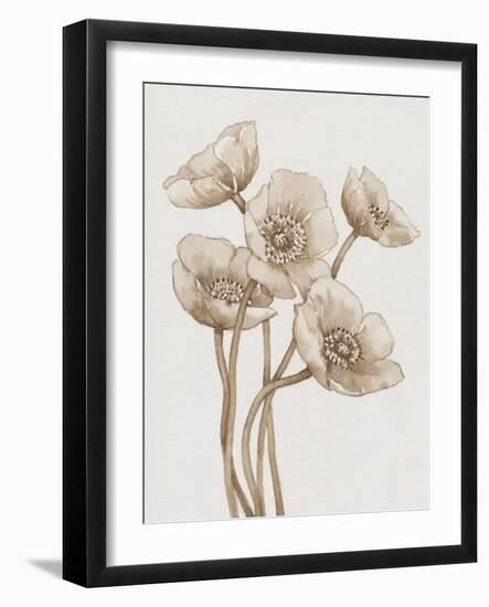 Poppies in Sepia II-Tim OToole-Framed Art Print