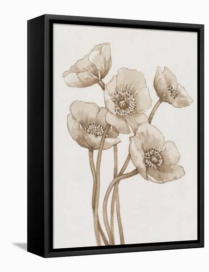 Poppies in Sepia II-Tim OToole-Framed Stretched Canvas