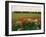 Poppies in the Valley of the Somme Near Mons, Nord-Picardy, France-David Hughes-Framed Photographic Print