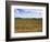 Poppies in the Valley of the Somme Near Mons, Nord-Picardy, France-David Hughes-Framed Photographic Print