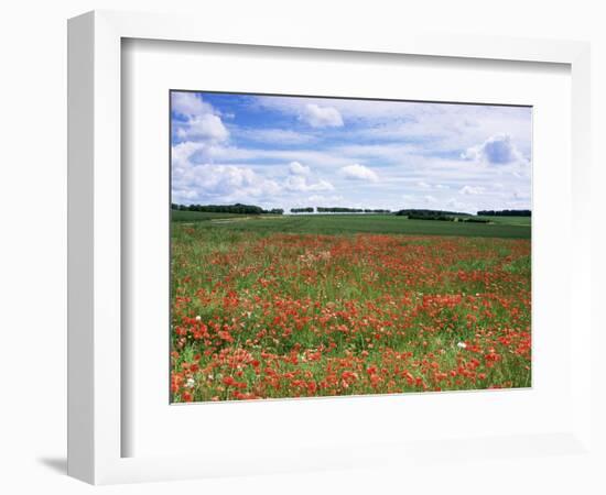 Poppies in the Valley of the Somme Near Mons, Nord-Picardy, France-David Hughes-Framed Photographic Print