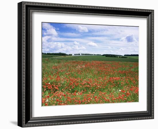 Poppies in the Valley of the Somme Near Mons, Nord-Picardy, France-David Hughes-Framed Photographic Print