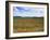 Poppies in the Valley of the Somme Near Mons, Nord-Picardy, France-David Hughes-Framed Photographic Print