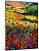 Poppies In Tuscany-Pol Ledent-Mounted Art Print