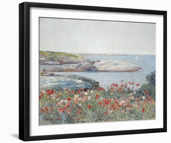 Poppies, Isles of Shoals 1891-Frederick Childe Hassam-Framed Giclee Print