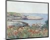 Poppies, Isles of Shoals, 1891-Childe Hassam-Mounted Art Print