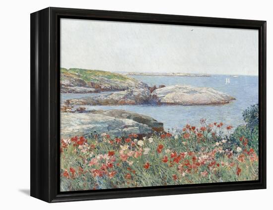 Poppies, Isles of Shoals, America, 1891-Childe Hassam-Framed Stretched Canvas