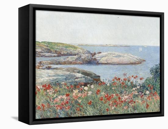 Poppies, Isles of Shoals, America, 1891-Childe Hassam-Framed Stretched Canvas