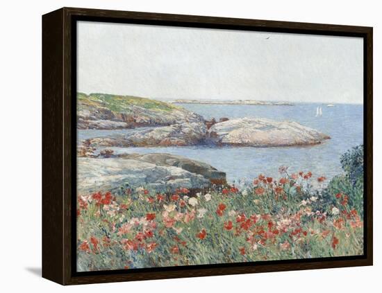 Poppies, Isles of Shoals, America, 1891-Childe Hassam-Framed Stretched Canvas