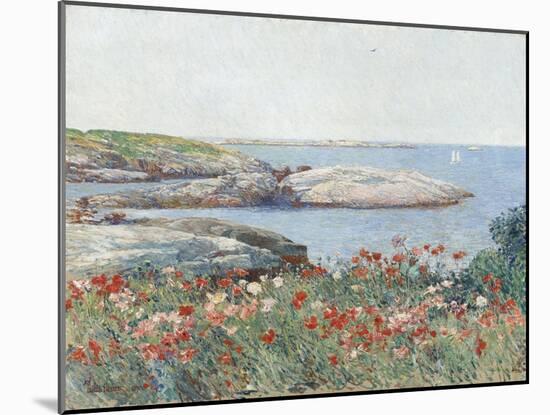 Poppies, Isles of Shoals, by Childe Hassam, 1891, American impressionist painting,-Childe Hassam-Mounted Art Print