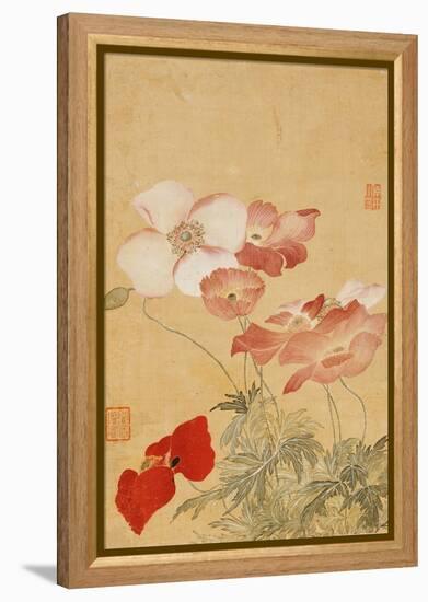 Poppies (Leaf from an Album of Flower Paintings)-Yun Shouping-Framed Premier Image Canvas