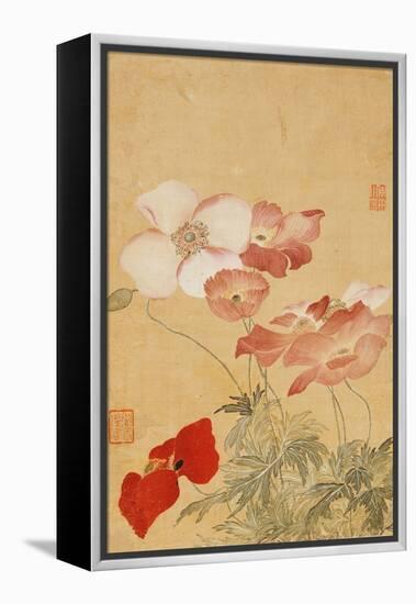 Poppies (Leaf from an Album of Flower Paintings)-Yun Shouping-Framed Premier Image Canvas