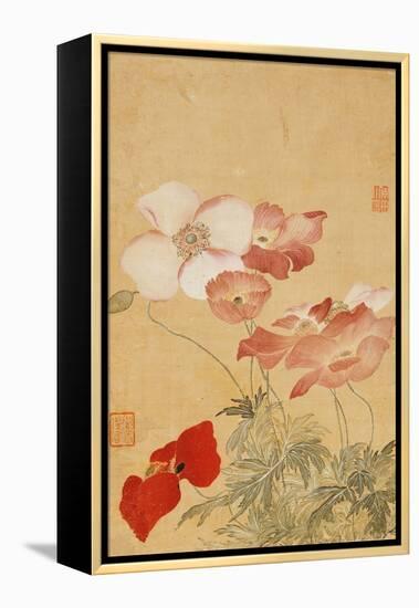 Poppies (Leaf from an Album of Flower Paintings)-Yun Shouping-Framed Premier Image Canvas