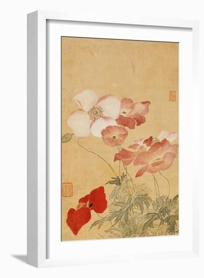 Poppies (Leaf from an Album of Flower Paintings)-Yun Shouping-Framed Premium Giclee Print