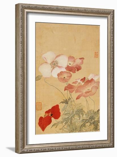 Poppies (Leaf from an Album of Flower Paintings)-Yun Shouping-Framed Giclee Print