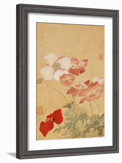 Poppies (Leaf from an Album of Flower Paintings)-Yun Shouping-Framed Giclee Print