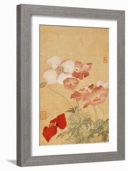 Poppies (Leaf from an Album of Flower Paintings)-Yun Shouping-Framed Giclee Print